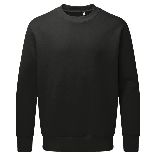 Anthem Organic Sweatshirt Thumbnail